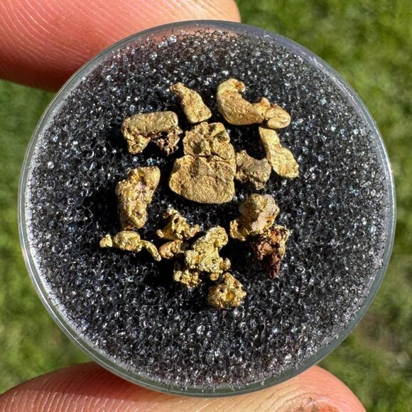 Gold Nuggets from California - 1 gram - Picture 1 of 4